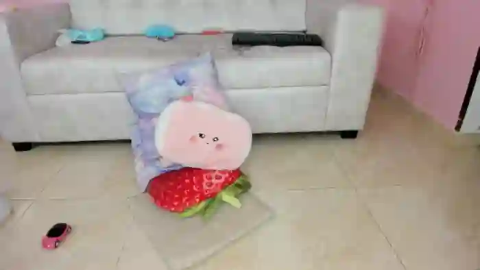 Tiny_Cora