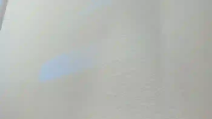 Bunni_