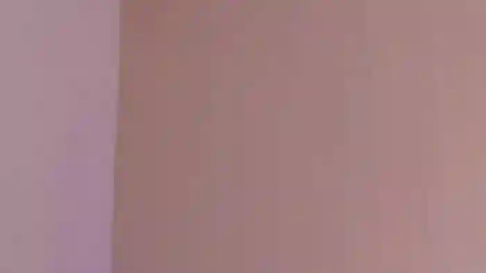 Lexy_fox2