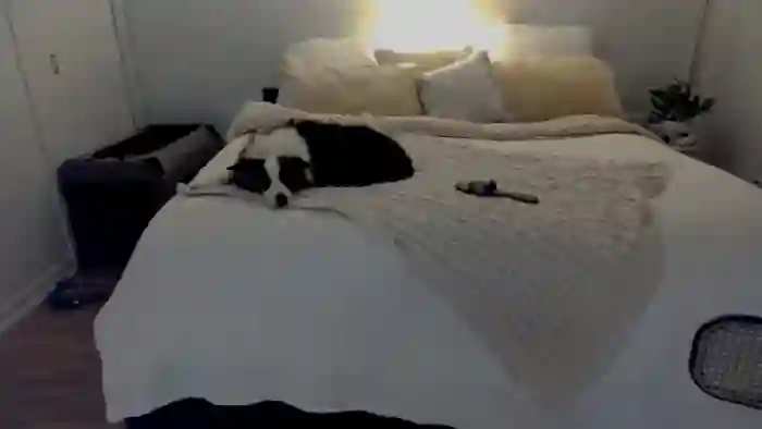 eh1_Scarlett