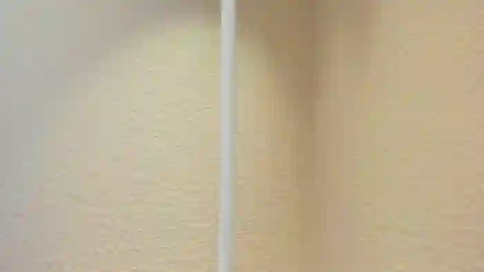 Haru_