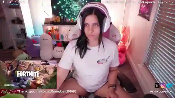 Nekobeanxo