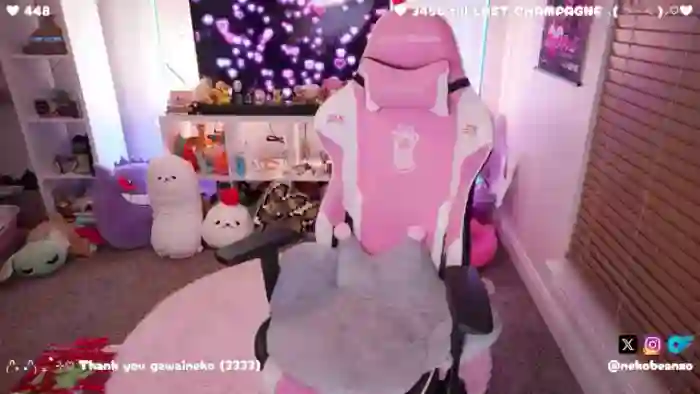 Nekobeanxo