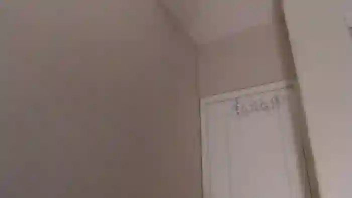 PokeAPuss