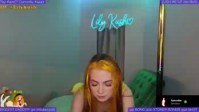 LilyKush