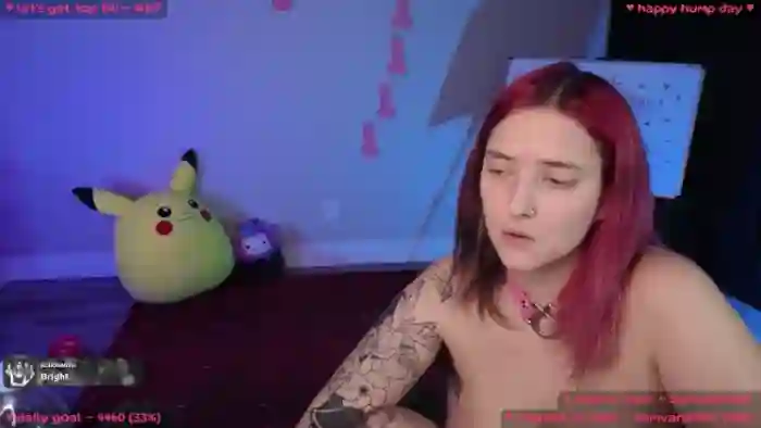 MollyMeowz