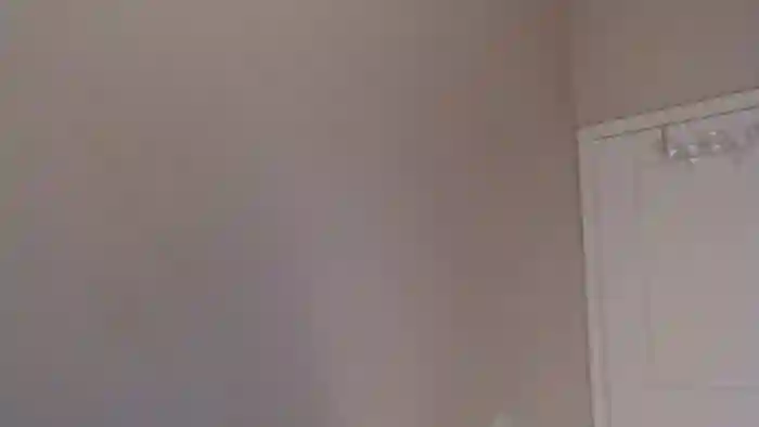 PokeAPuss
