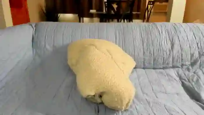 Saandruskaa