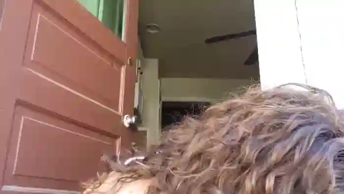 TrollopTaylor