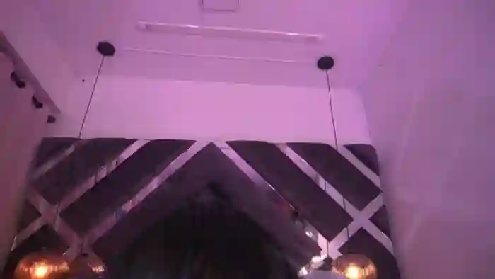 Violeta_aroca