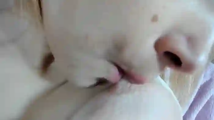 Kittysweety