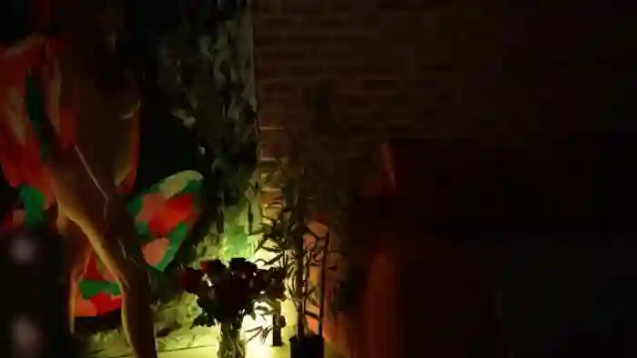 Allie_Synn