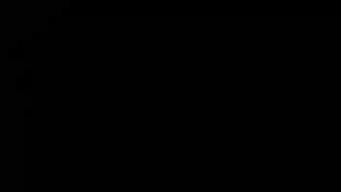 nnina