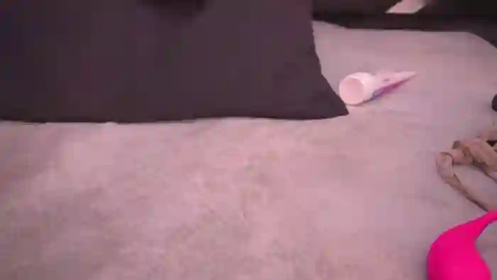 Violeta_aroca