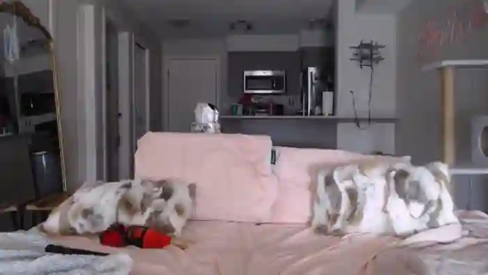 AlexisWildest