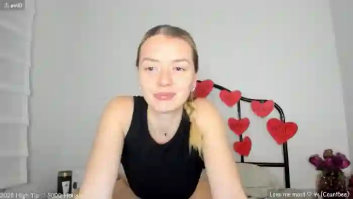 MirBee