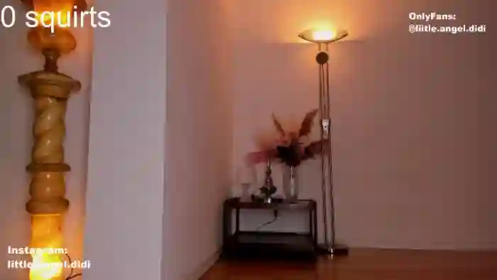 angel_didi
