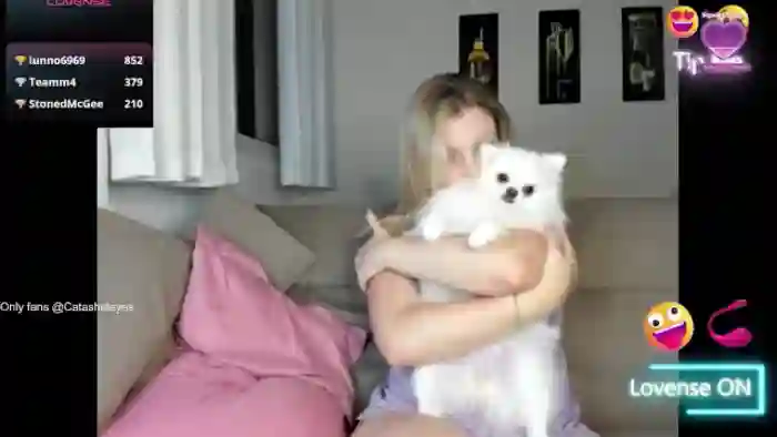 cateyes1
