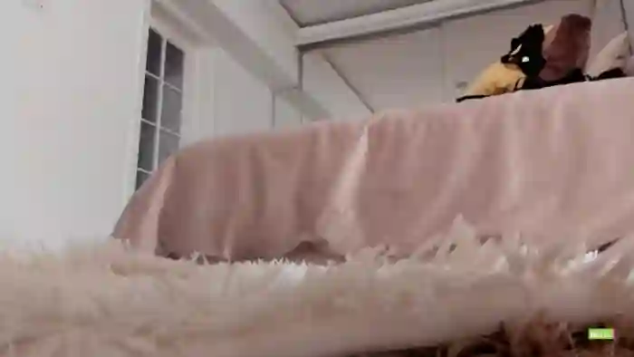 Meow_S