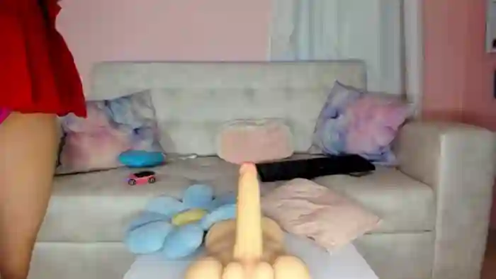Tiny_Cora