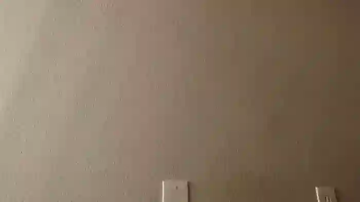 PokeAPuss