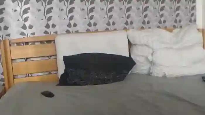 Kelywild