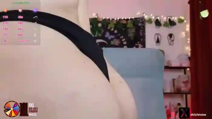 LilyVelvet