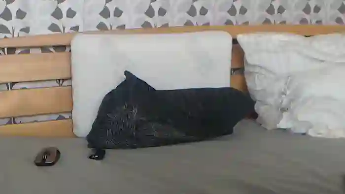 Kelywild