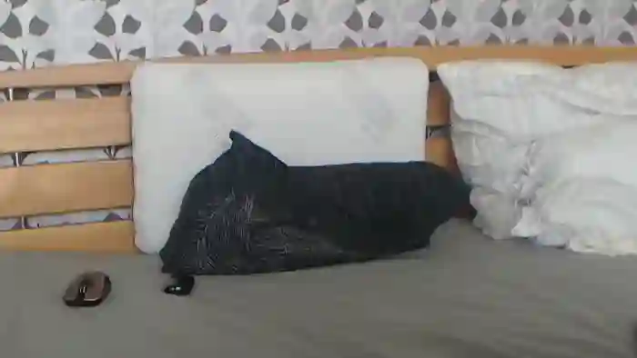 Kelywild