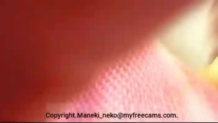 Maneki_neko