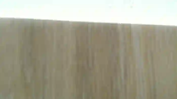 Molly_fragan