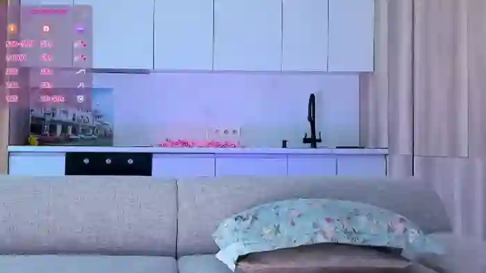 OnlyCats