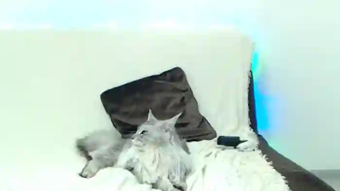 Sleepy_AF