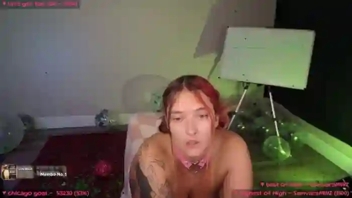 MollyMeowz