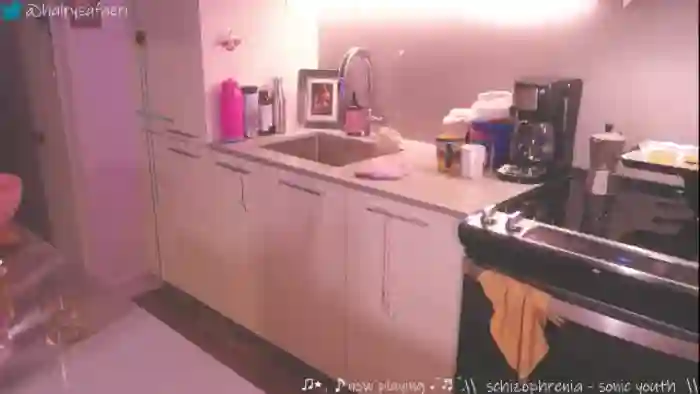 hairysafaeri