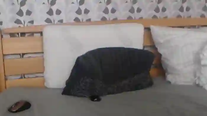 Kelywild