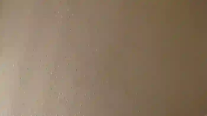 PokeAPuss