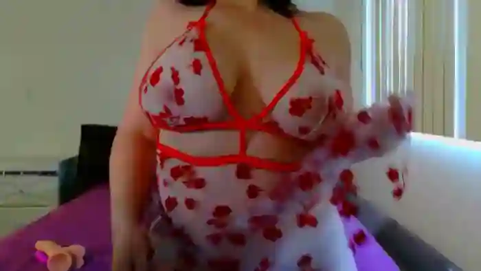 RavenVidVixen