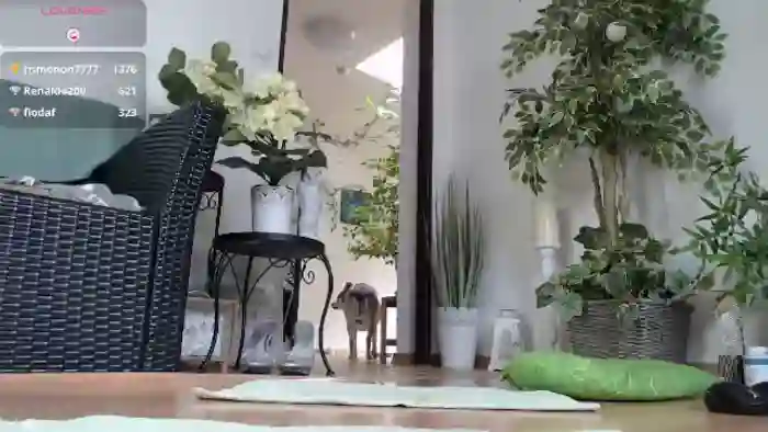 Squirt_Queen_