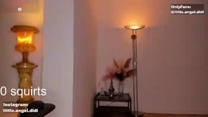 angel_didi