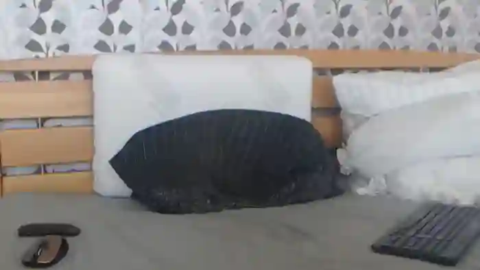 Kelywild