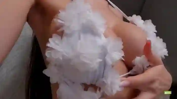 Meow_S