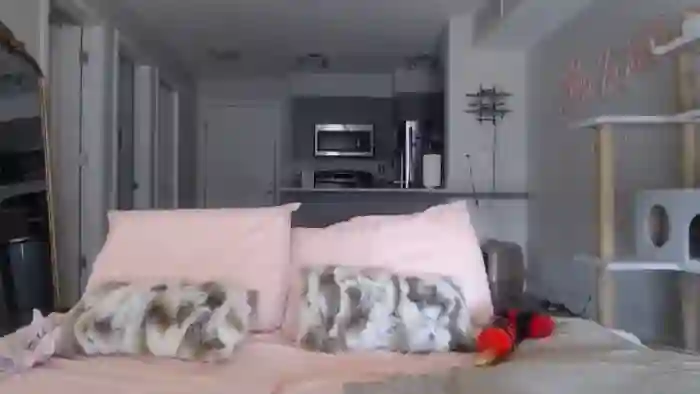 AlexisWildest