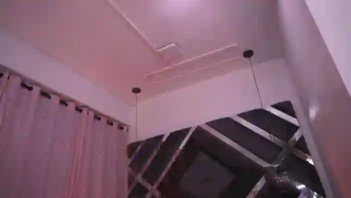 Violeta_aroca