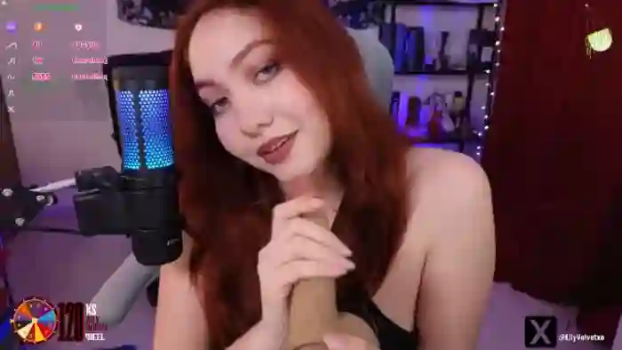 LilyVelvet