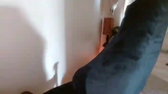honeytits_