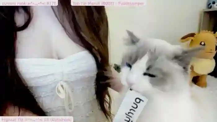 Kitty