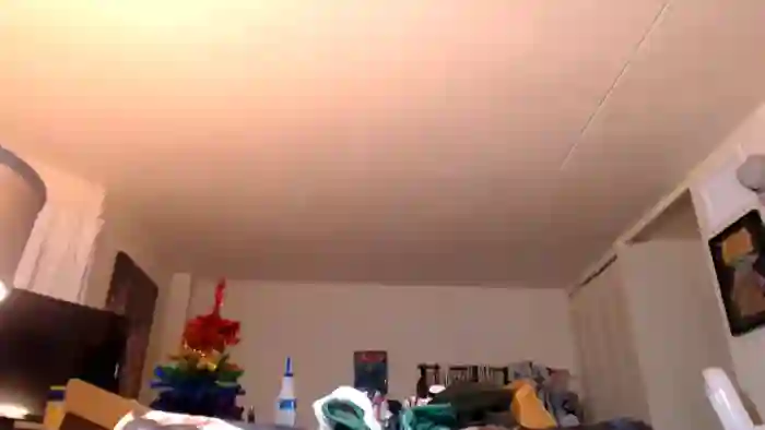 AJthePunk420