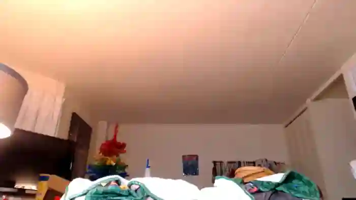 AJthePunk420