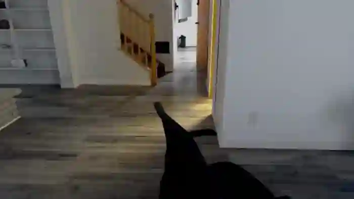 eh1_Scarlett